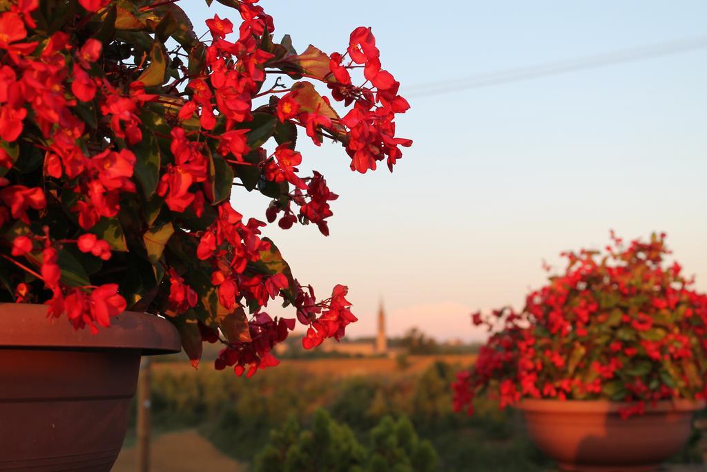 Agriturismo Le Casette Villa Castelvetro di Modena Esterno foto