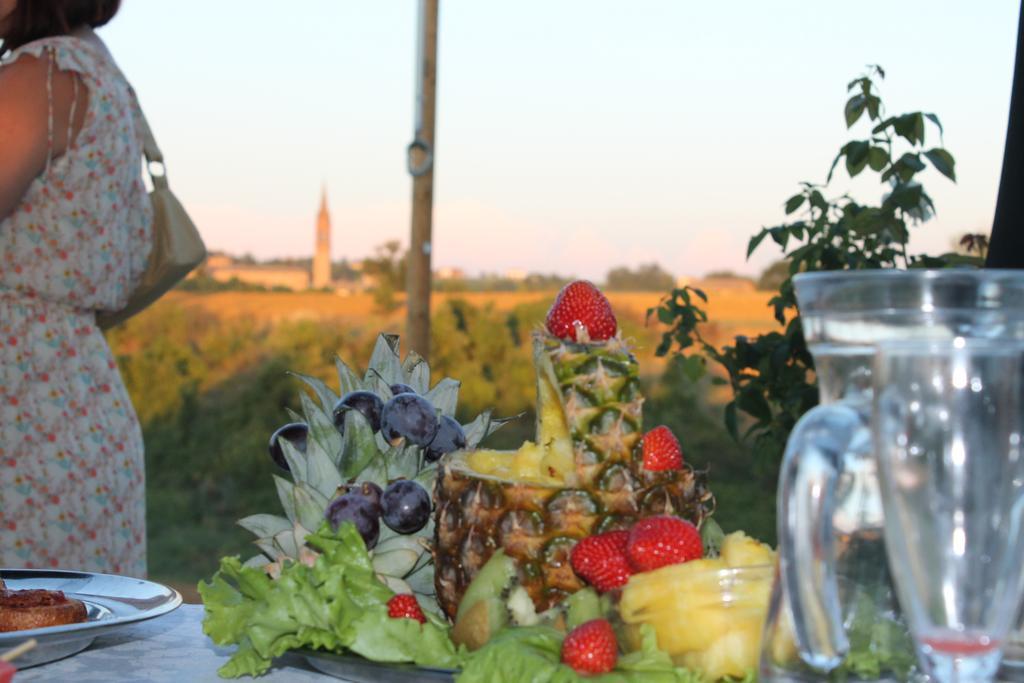 Agriturismo Le Casette Villa Castelvetro di Modena Esterno foto